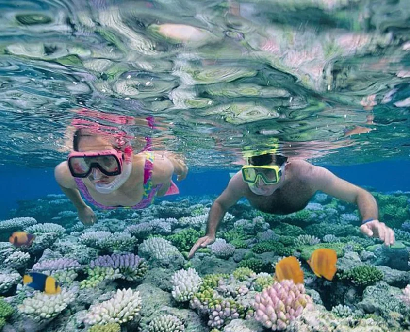 Prison Island & Nakupenda Sandbank gallery 4